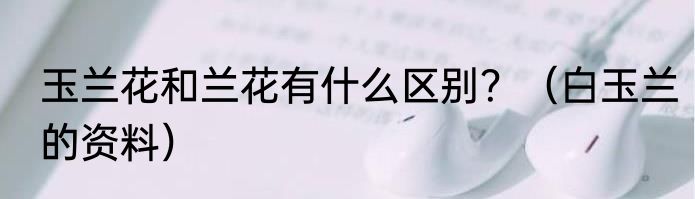 玉兰花和兰花有什么区别？（白玉兰的资料）