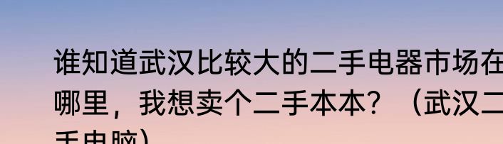 谁知道武汉比较大的二手电器市场在哪里，我想卖个二手本本？（武汉二手电脑）