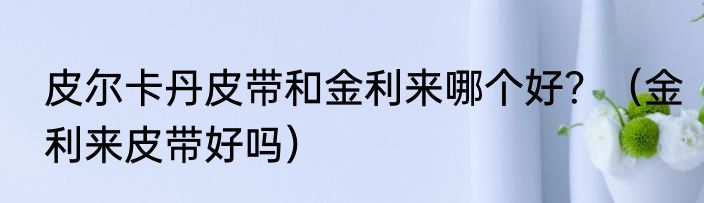 皮尔卡丹皮带和金利来哪个好？（金利来皮带好吗）