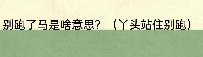 别跑了马是啥意思？（丫头站住别跑）