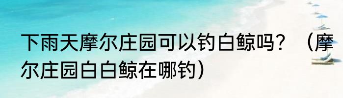 下雨天摩尔庄园可以钓白鲸吗？（摩尔庄园白白鲸在哪钓）