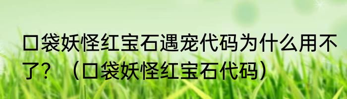口袋妖怪红宝石遇宠代码为什么用不了？（口袋妖怪红宝石代码）