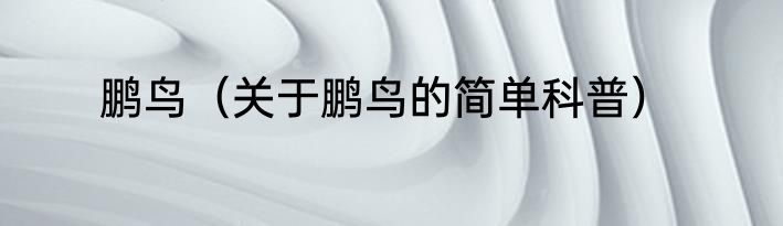 鹏鸟（关于鹏鸟的简单科普）