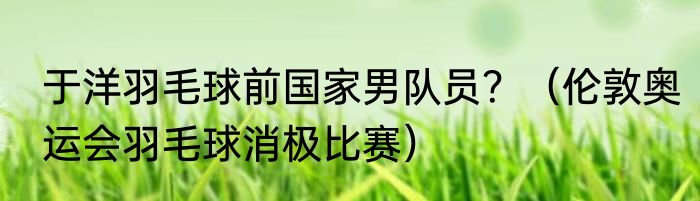 于洋羽毛球前国家男队员？（伦敦奥运会羽毛球消极比赛）