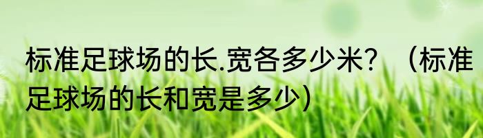 标准足球场的长.宽各多少米？（标准足球场的长和宽是多少）