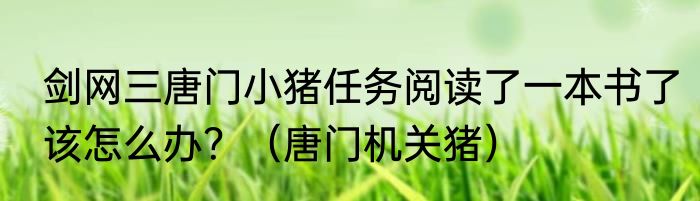 剑网三唐门小猪任务阅读了一本书了该怎么办？（唐门机关猪）