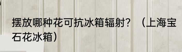 摆放哪种花可抗冰箱辐射？（上海宝石花冰箱）