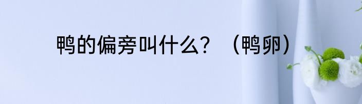 鸭的偏旁叫什么？（鸭卵）