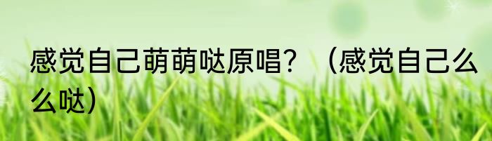 感觉自己萌萌哒原唱？（感觉自己么么哒）