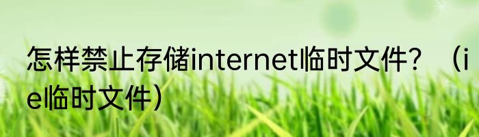 怎样禁止存储internet临时文件？（ie临时文件）
