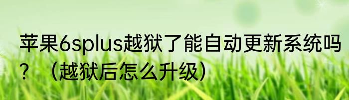 苹果6splus越狱了能自动更新系统吗？（越狱后怎么升级）