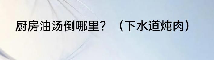 厨房油汤倒哪里？（下水道炖肉）