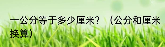 一公分等于多少厘米？（公分和厘米换算）