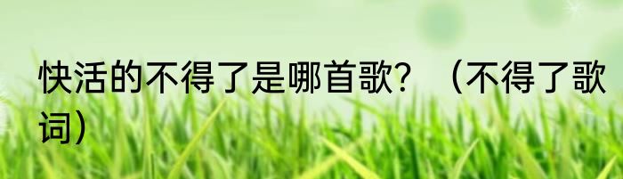 快活的不得了是哪首歌？（不得了歌词）