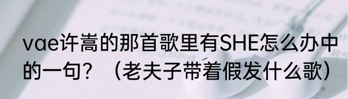 vae许嵩的那首歌里有SHE怎么办中的一句？（老夫子带着假发什么歌）