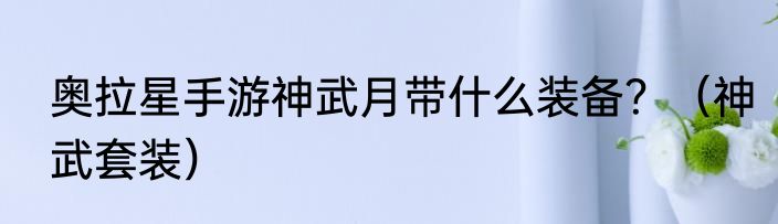 奥拉星手游神武月带什么装备？（神武套装）
