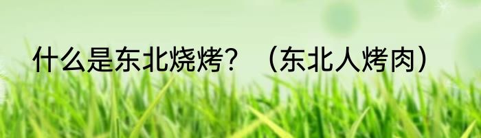 什么是东北烧烤？（东北人烤肉）
