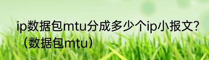 ip数据包mtu分成多少个ip小报文？（数据包mtu）
