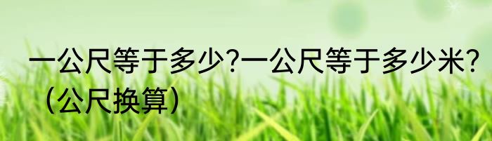 一公尺等于多少?一公尺等于多少米？（公尺换算）