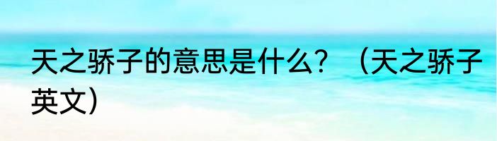 天之骄子的意思是什么？（天之骄子英文）