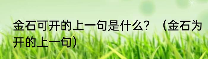 金石可开的上一句是什么？（金石为开的上一句）