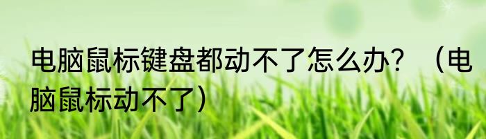 电脑鼠标键盘都动不了怎么办？（电脑鼠标动不了）