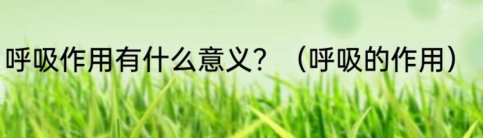 呼吸作用有什么意义？（呼吸的作用）