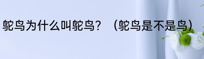 鸵鸟为什么叫鸵鸟？（鸵鸟是不是鸟）