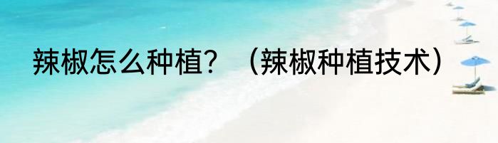 辣椒怎么种植？（辣椒种植技术）