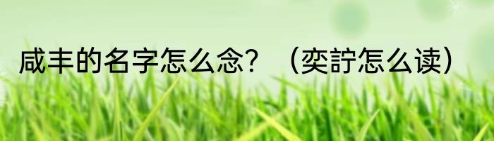 咸丰的名字怎么念？（奕詝怎么读）