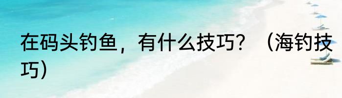 在码头钓鱼，有什么技巧？（海钓技巧）