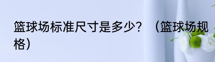 篮球场标准尺寸是多少？（篮球场规格）