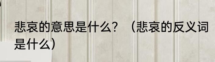 悲哀的意思是什么？（悲哀的反义词是什么）