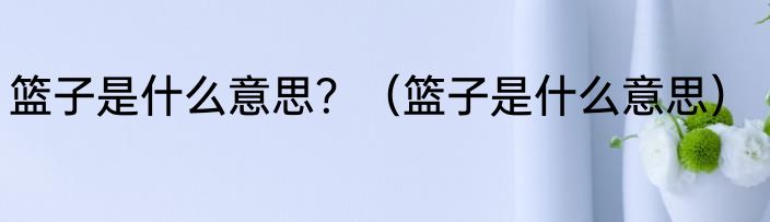 篮子是什么意思？（篮子是什么意思）