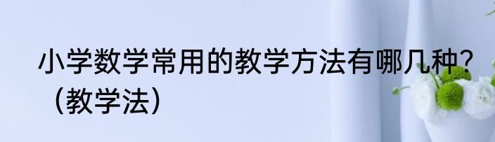 小学数学常用的教学方法有哪几种？（教学法）