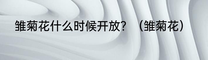 雏菊花什么时候开放？（雏菊花）