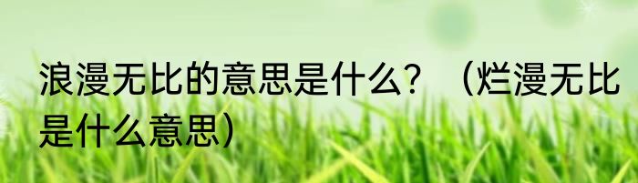 浪漫无比的意思是什么？（烂漫无比是什么意思）