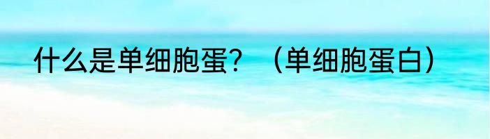什么是单细胞蛋？（单细胞蛋白）