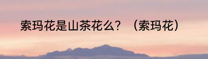 索玛花是山茶花么？（索玛花）