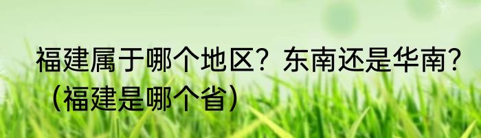 福建属于哪个地区？东南还是华南？（福建是哪个省）