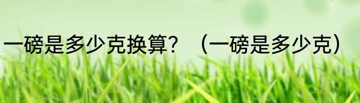 一磅是多少克换算？（一磅是多少克）