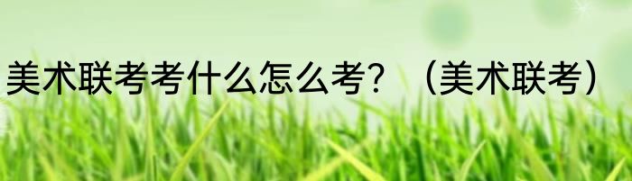 美术联考考什么怎么考？（美术联考）