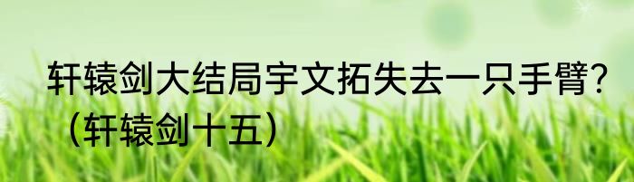 轩辕剑大结局宇文拓失去一只手臂？（轩辕剑十五）