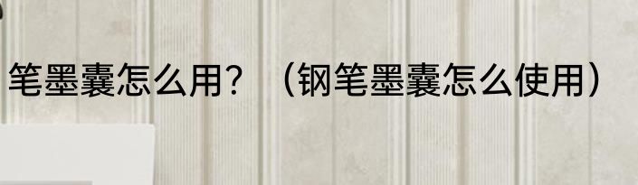 笔墨囊怎么用？（钢笔墨囊怎么使用）
