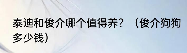 泰迪和俊介哪个值得养？（俊介狗狗多少钱）