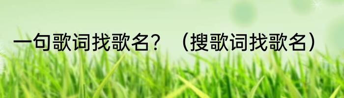一句歌词找歌名？（搜歌词找歌名）