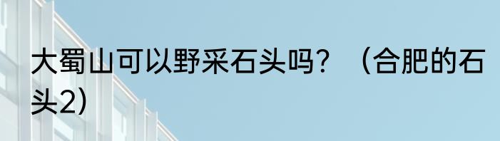 大蜀山可以野采石头吗？（合肥的石头2）