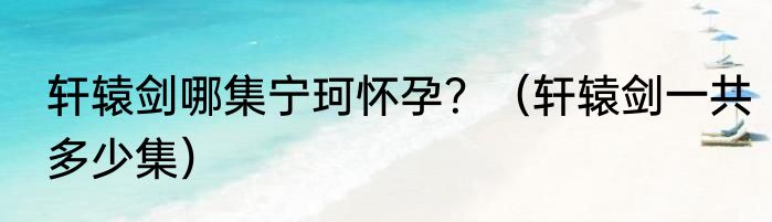轩辕剑哪集宁珂怀孕？（轩辕剑一共多少集）