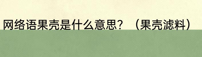 网络语果壳是什么意思？（果壳滤料）