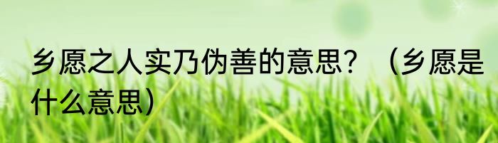 乡愿之人实乃伪善的意思？（乡愿是什么意思）